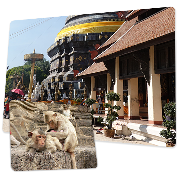 เว็บหางานออนไลน์ ของคนลำปาง เหมาะกับผู้หางานด่วนรายวัน เริ่มงานทันที เปิดรับสมัครงาน พนักงานทั่วไป แล้ววันนี้